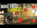 5 More Woodland Photography Tips - make better Forest Photos