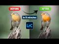 How I Edit Bird Photos in 5 Minutes (Natural Results)