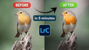 How I Edit Bird Photos in 5 Minutes (Natural Results)