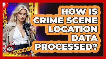 How Is Crime Scene Location Data Processed?