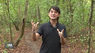 Jujuy: Parque Nacional Calilegua