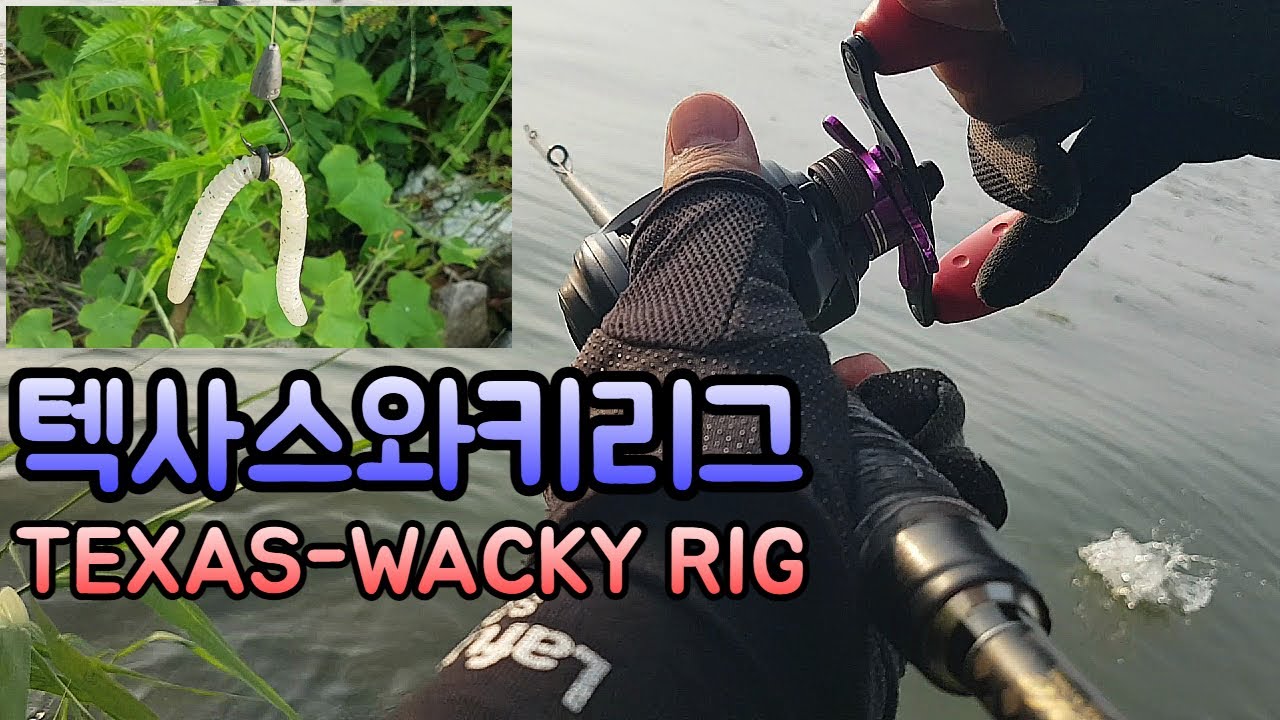 활용도 높은 텍사스와키리그/이럴 때 쓰면 좋아요/배스낚시 Bass fishing/Texas-Wacky Rig - YouTube