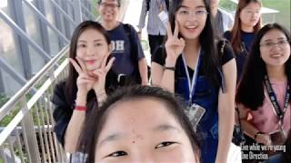 Tfi-Scale 2019 X Peckey