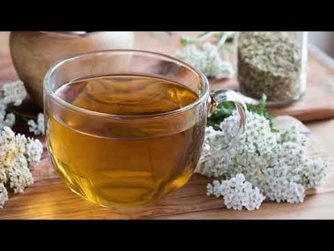 فوائد و اضرار عشبه اليارو و سر محبه الفلنديين لها
