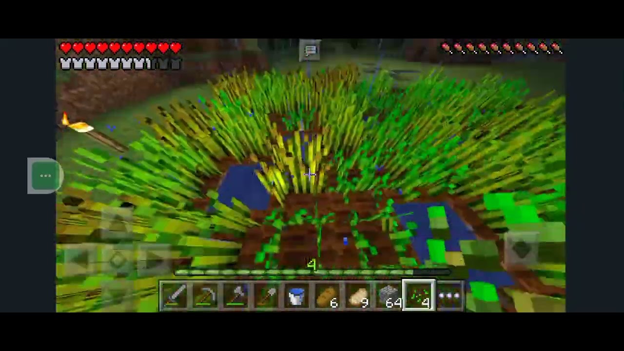 Minecraft gameplay video with @Tech Rach gaming part 6 - YouTube