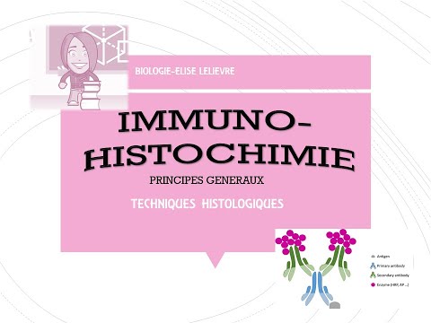 Vidéo: Quel est le principe de l'immunohistochimie ?