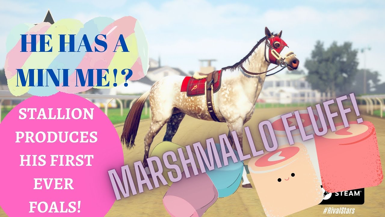 Stallion Marshmallow Fluff! Breeds a MINI ME?! and many more foals