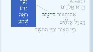 Genesis 1:4