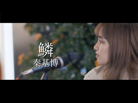 『鱗』歌詞付き  秦基博cover Sing Aibryさん 新宿路上ライブ 4K映像