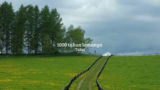Download Lagu 1000 tahun lamanya - Tulus (speed up) MP3