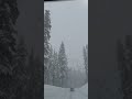 Blizzard Oregon Cascades April 2nd 2023. #short #Blizzard