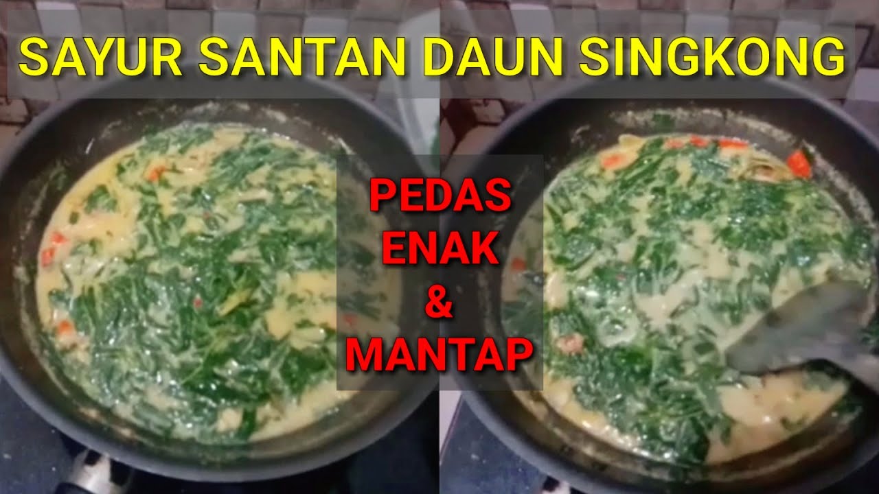 RESEP SAYUR SANTAN DAUN SINGKONG #sayursantandaunubi #resepsayurdaunsingkong #olahandaunsingkong