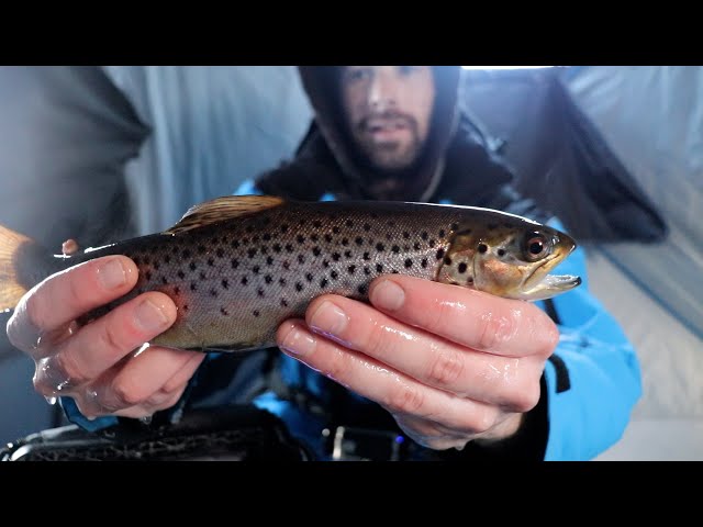 Ice Fishing for Brown Trout w/ Live Shiners and Garmin Striker 4