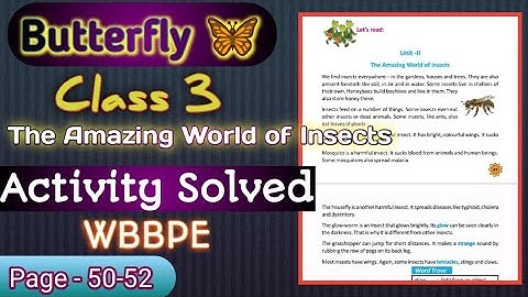 Class 3 Butterfly English Book Lesson 3 Unit  2 Amazing World of Insects Activity Solved  Page 50-52