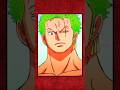 Why Most People Like Zoro?
