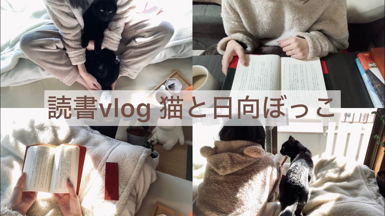 読書vlog / 猫と日向ぼっこ / 朝食 / 読書日和