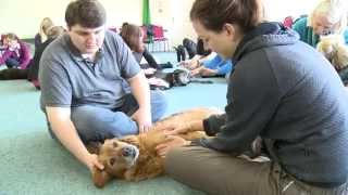 Animal Osteopathy Foundation Course At The European School Of Osteopathy