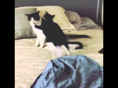 Surprise High Five