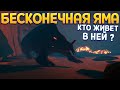 КТО ЖИВЕТ В БЕСКОНЕЧНОЙ ЯМЕ?