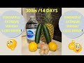 PINEAPPLE DETOX EXTREME WEIGHT LOSS DRINK || Lose 20-30lbs in 14 DAYS (includes 14 DAY MEAL PLAN)