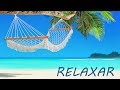 Live Música Relaxante e Natureza 🔴  Paisagens Relaxar e Acalmar