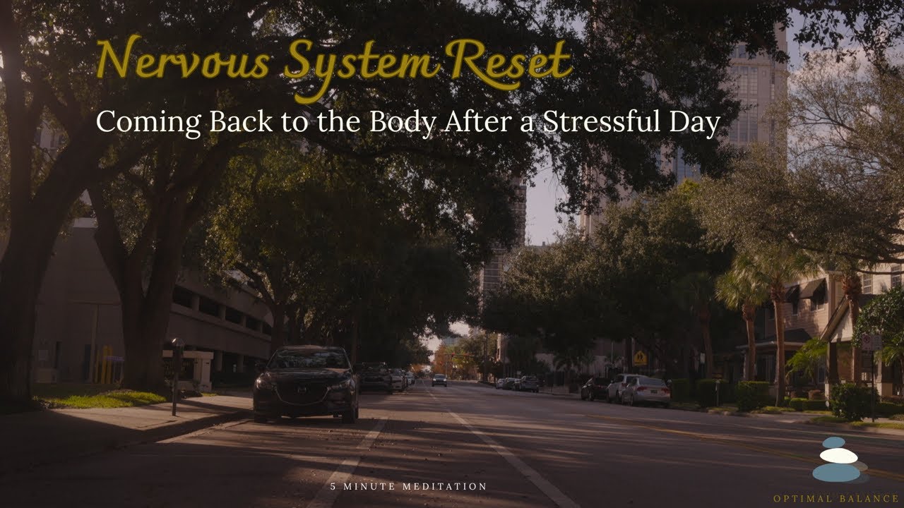 Grounding & Nervous System Reset | Coming Back to the Body After a Stressful Day