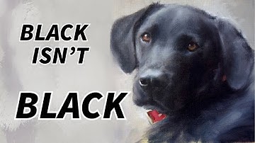 Donkere waarden eenvoudig gemaakt: het geheim van het schilderen van zwarte objecten in olieverf