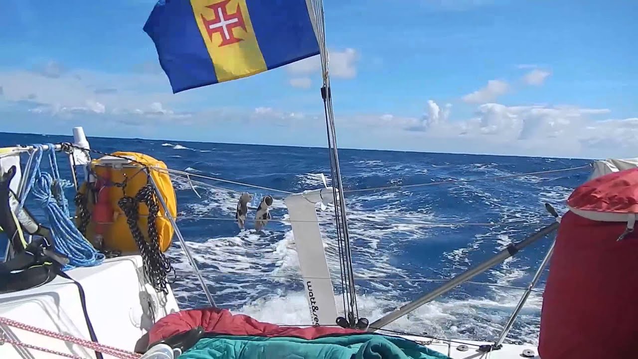 Transquadra 2015 Expresso