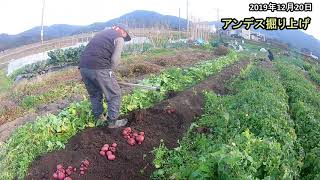 2019122001FPⅡじゃがいも収穫Ⅱ#133