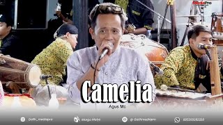 Camelia - Mc Agus - KMB Gedrug Sragen - MM Sound System - Mediapro Shooting