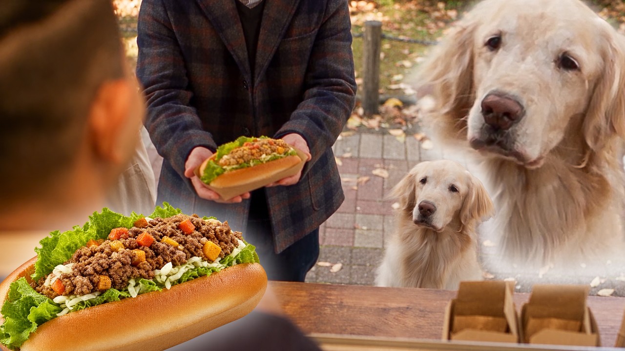 列に並べばゴハンが貰えると信じて疑わない愛犬がこちらです