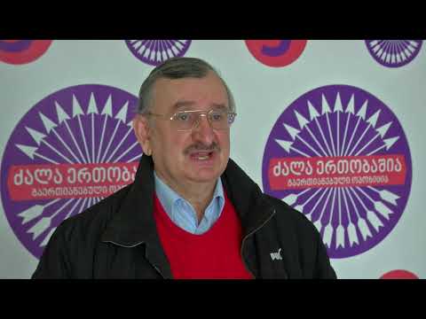 მთავრობაში რაღაცას ყვებიან, ყვებიან და არაფერი კეთდება, არ გვჯერა იმის, რასაც ამბობენ - გოცირიძე