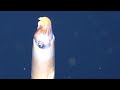 Northern Depths of the Great Barrier Reef - 4K ROV Highlights - Leg 2 - FK200930