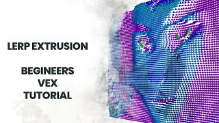 Celebrity VEX Driven Image Extrusion - Houdini Lerp Tutorial Net Worth