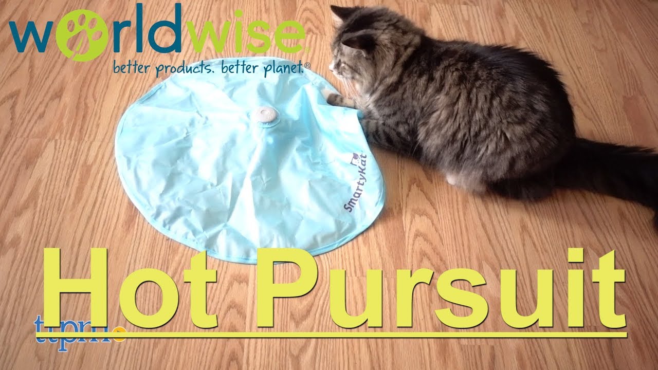 smartykat hot pursuit cat toy