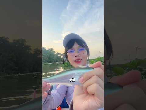 Mơ thấy câu được cá Vồ Đém và sau đó..P2 #caucathiennhien #fishing #cauca #caucagiaitri #mayfishing