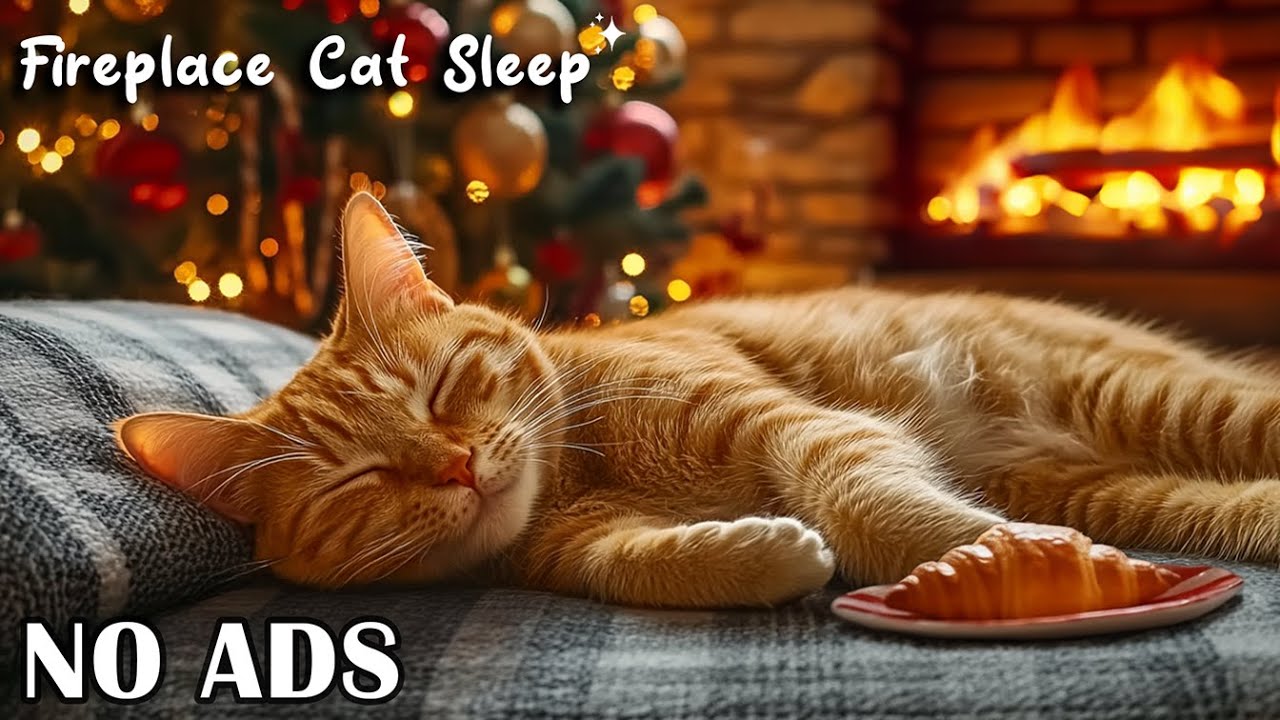 NO ADS - Cat Relaxing Music 😻 Gentle Piano and Warm Fire Sounds for Cat 🎶 Peaceful Healing Rest