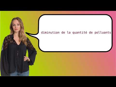 How to say 'pollutant reduction' in French?