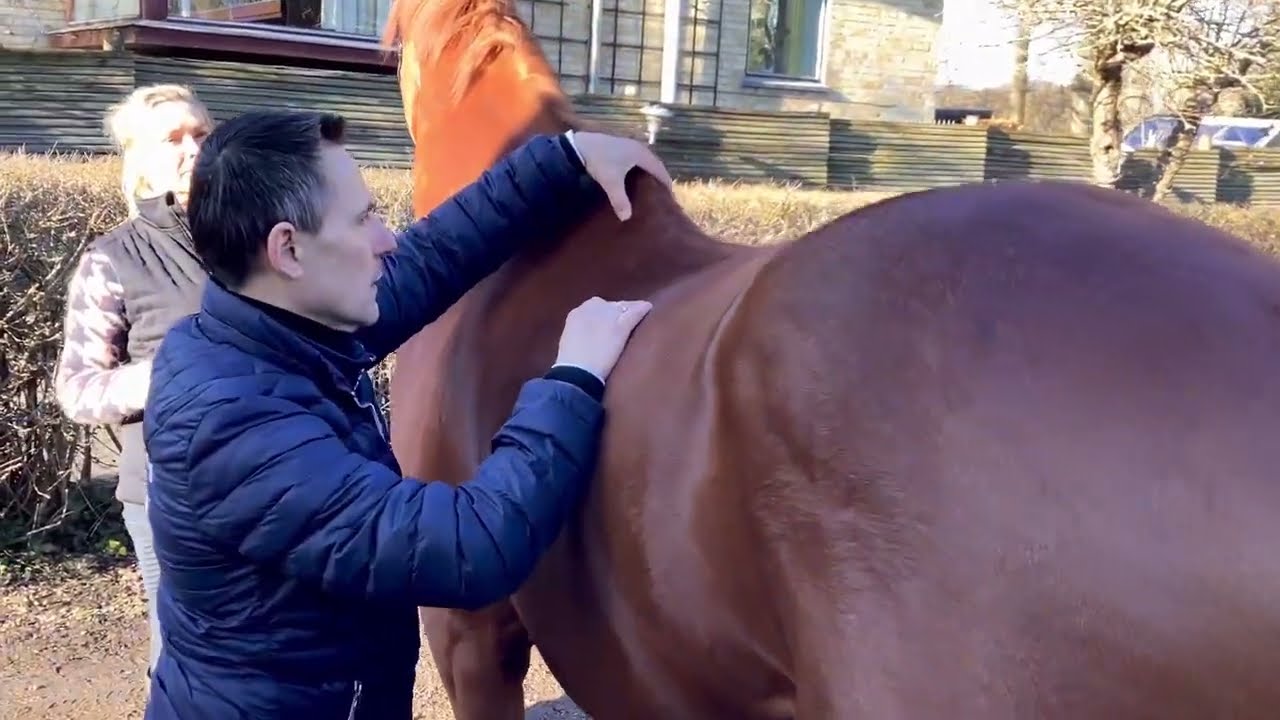 2 blocked nerves in vertebrae and tied shoulder successfully loosened up after my physio session.