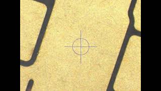 Chip Under The Microscope