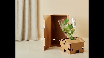 Da’s nog eens lekker ingepakt - Plantery unboxing