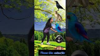 change the head of the cartoon into a crow pigeon birds hen funny vfx