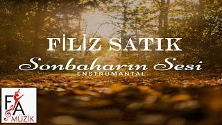 Filiz Satık - Sonbaharın Sesi - Sonbaharın Sesi - Enstrümantal 