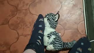 making a cat plushie smell my feet and socks