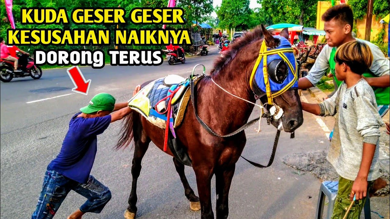 Kuda Geser Geser Kesusahan Naik Kuda Nya || LAGU DELMAN ISTIMEWA SEPANJANG MASA|| tato denggel