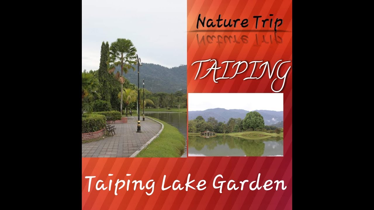 TAIPING MALAYSIA: Taiping Lake Garden