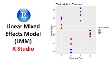 How to Perform a Linear Mixed Effects Model (LMM) in R