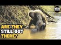 PARK RANGER Experienced Something TERRIFYING