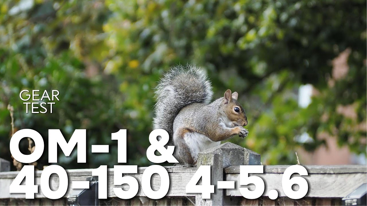 OM-1 Mark II + $80 Lens?! Surprisingly Good?