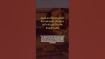 Save Yourselves! [6-8] التحريم #quran #القرآن_الكريم #سورة